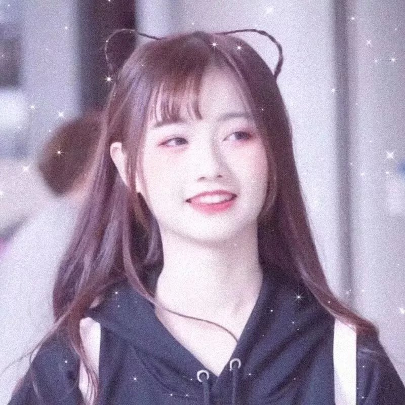四条生命